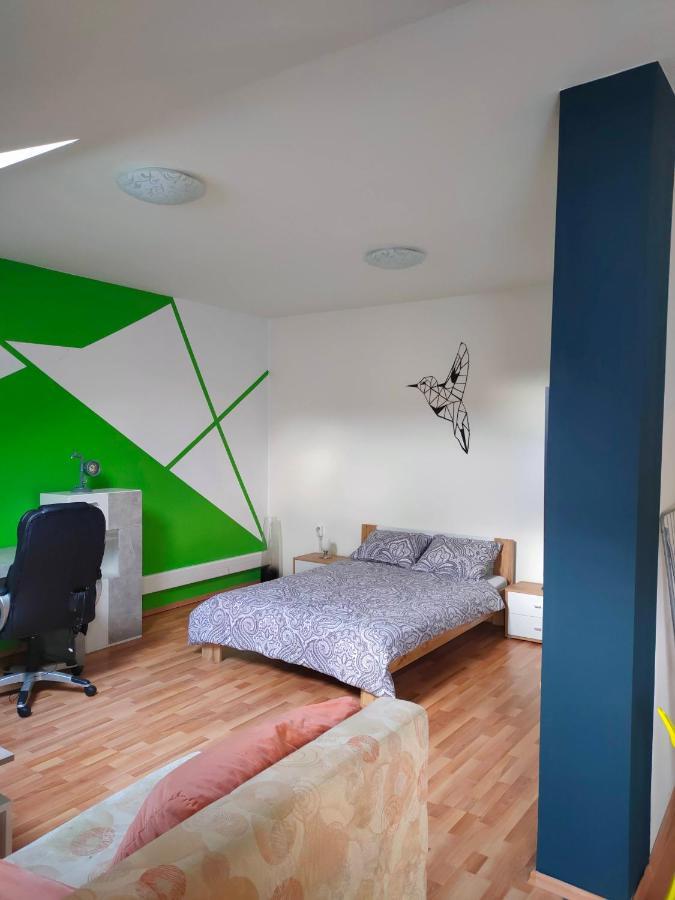 Iosefin House Studio Тимишоара Екстериор снимка