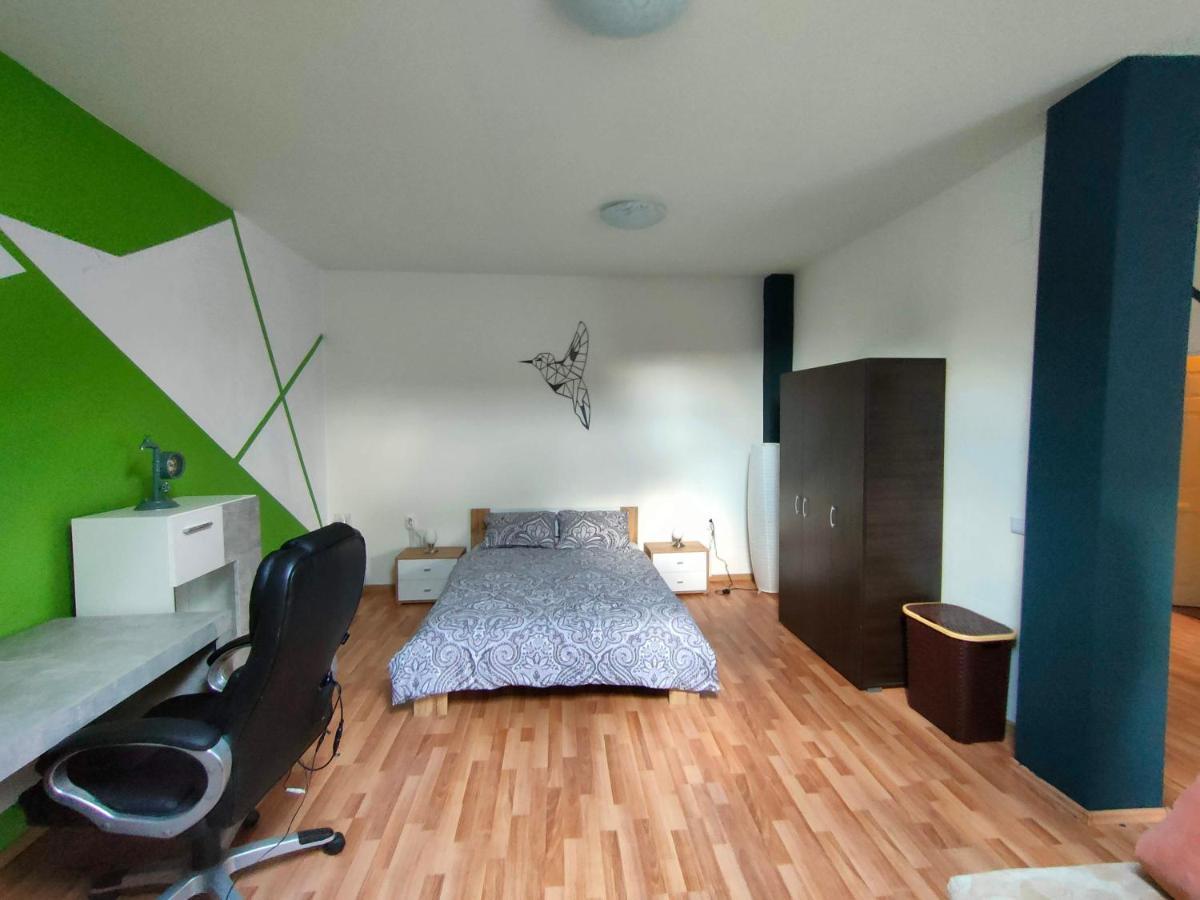 Iosefin House Studio Тимишоара Екстериор снимка